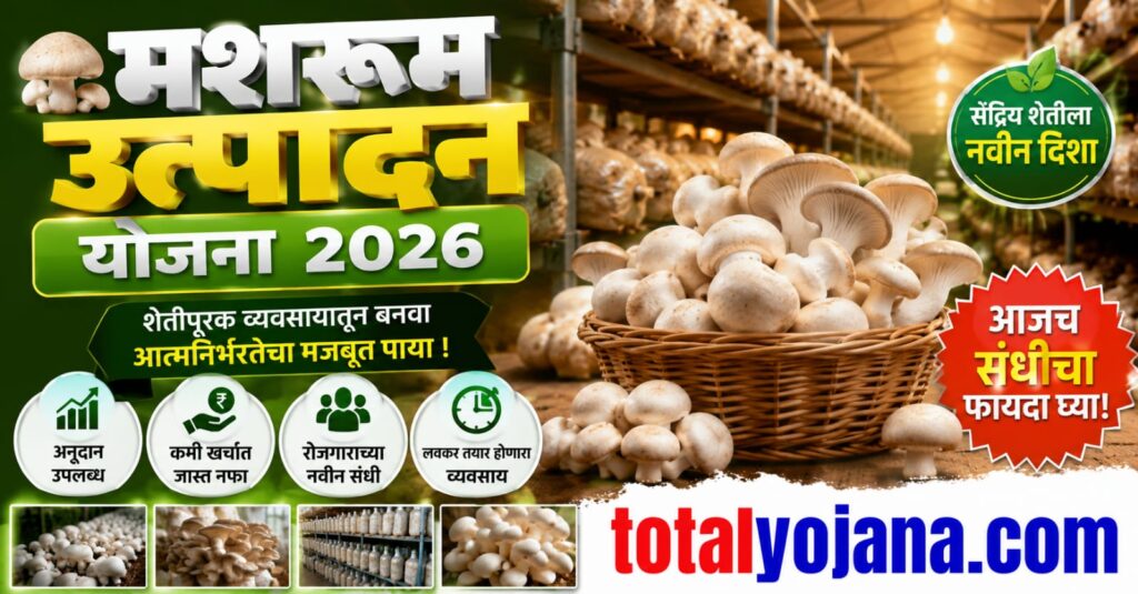 Mushroom Cultivation Scheme 2026 feature image